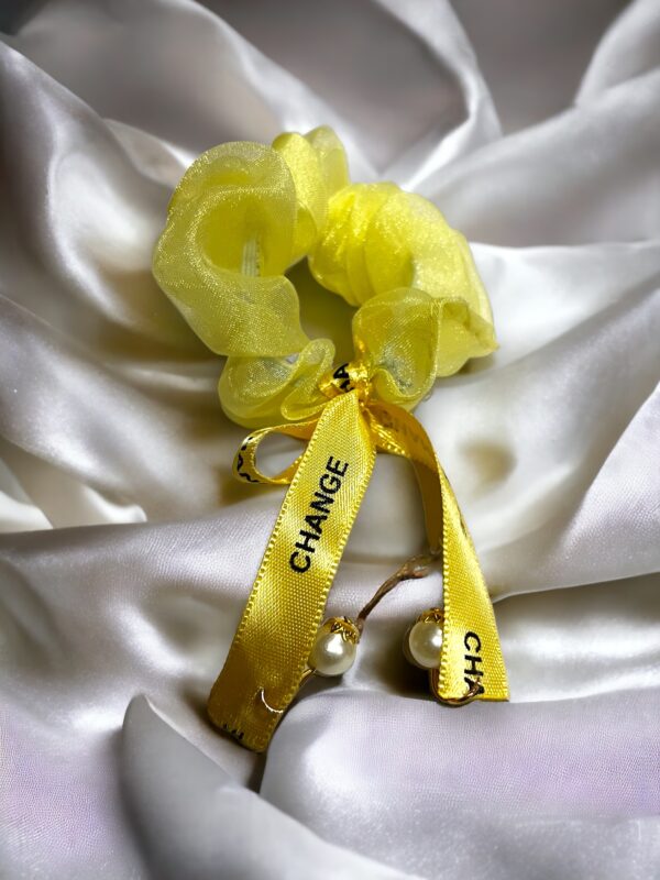Colorful Mesh Scrunchies (Pack of 2) - Image 6