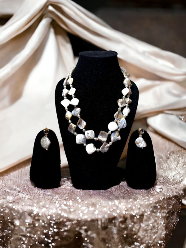 Natural Layered Seashells Set