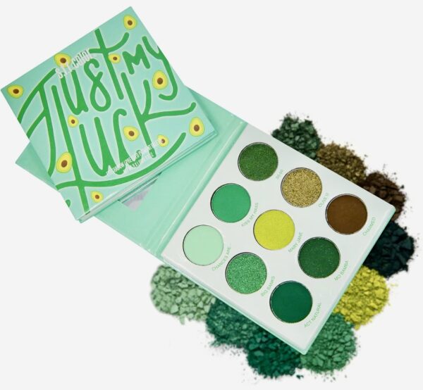 SFR Eyeshadow Palette - Image 6